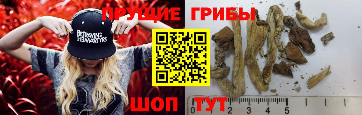 Галлюциногенные грибы мицелий Ноябрьск